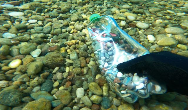 Antalya'da deniz dibinde utandıran manzara: Pet şişeye taş doldurup atıyorlar