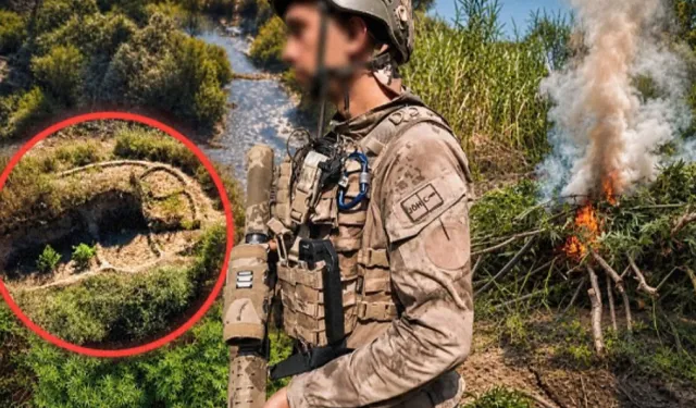 Diyarbakır'da uyuşturucu operasyonu... 387 bin 882 kök kenevir ve skunk ele geçirildi