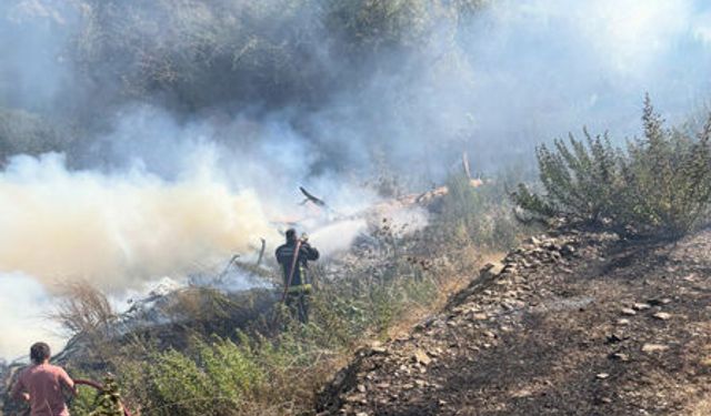 Muz ve avokado bahçeleri yangında zarar gördü