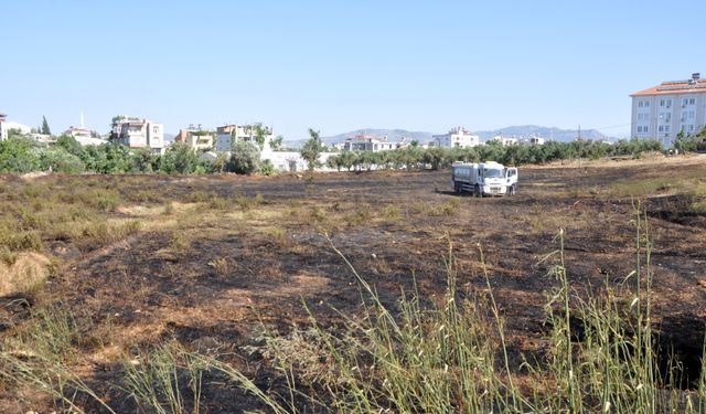 Gazipaşa'da otluk yangını büyümeden söndürüldü