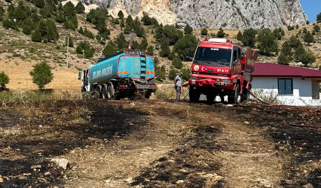 Alanya'da otluk yangını söndürüldü