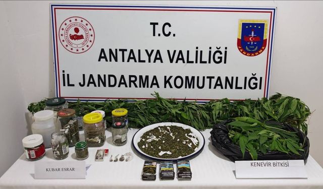 Manavgat'ta operasyon: 2 Kilo esrar ve 130 kök kenevir ele geçirildi