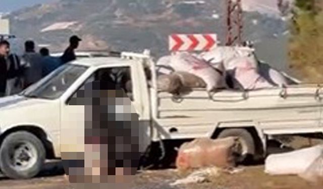 Alanya'da kaza yapan kamyonet sürücüsü yaşamını yitirdi