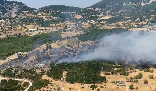 Antalya Kaş'ta orman yangını