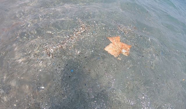 Antalya kıyılarında mikroplastik alarmı; canlıların ölümüne sebep olabiliyor