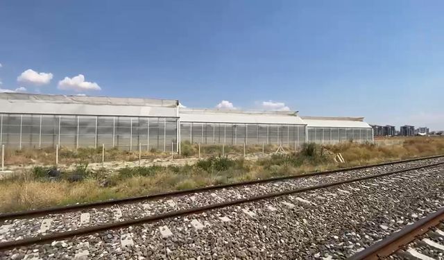 9 sera çalışanı, tarım ilacından etkilendi