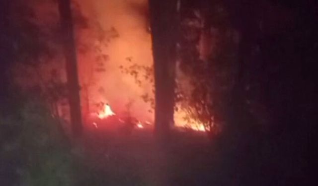 Alanya'da yangından 2 dönüm alan zarar gördü