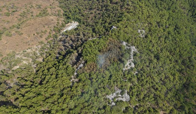 Antalya Kemer'de orman yangını kontrol altında