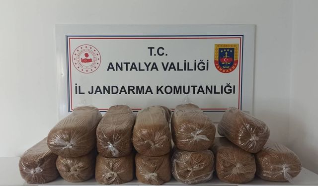 Alanya, Aksu ve Demre’de kaçak tütün operasyonu