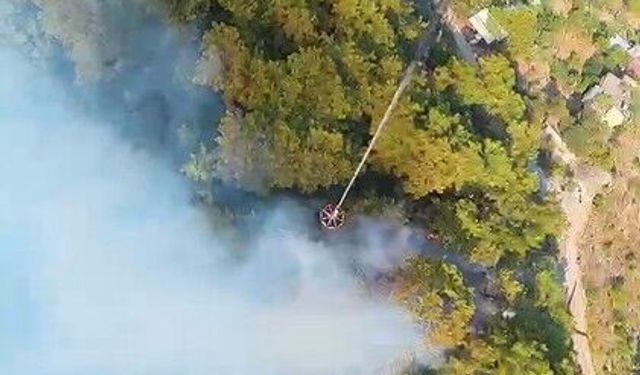 Alanya Tepe ve Konyaaltı’nda orman yangınlarına hızlı müdahale