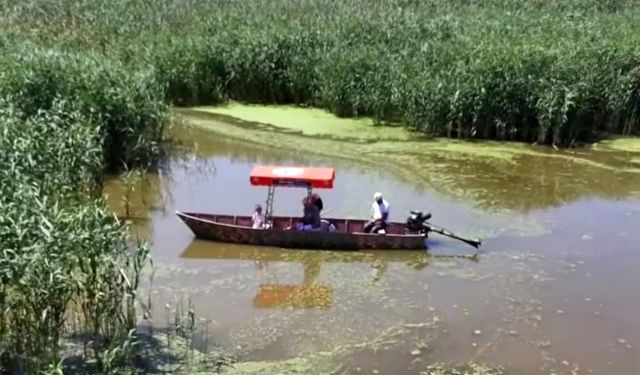 Eber Gölü'nün su seviyesinde azalma gözlendi