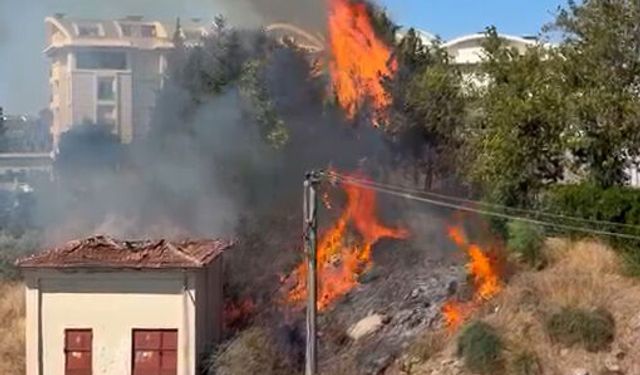 Manavgat'ta elektrik trafosu yangına neden oldu