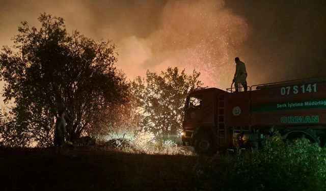 Antalya Serik'te otluk yangın rüzgarın etkisiyle büyüdü