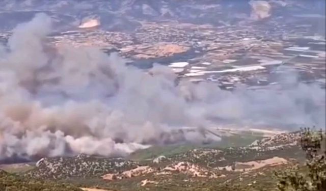 Tarım arazisinde çıkan yangın, Kaş'ta ormana sıçradı