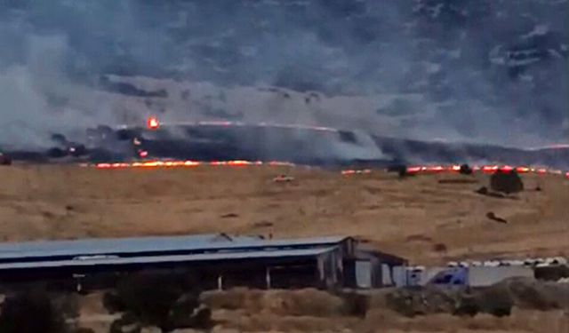Söndürülmeyen mangal ateşi yangına neden oldu