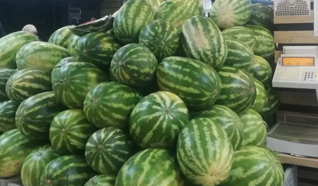 Tarım ürünlerinde üretici fiyatları artışta... En yüksek artış kavun-karpuzda