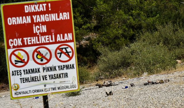 Yasağa rağmen 'ormanda mangal' duyarsızlığı