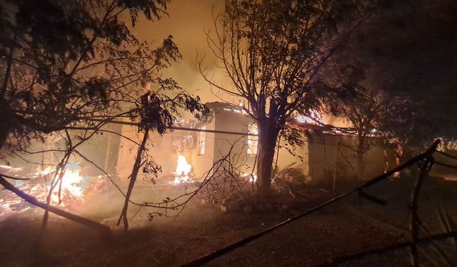 Antalya Serik'te orman yangını: Evler ve seralar yandı