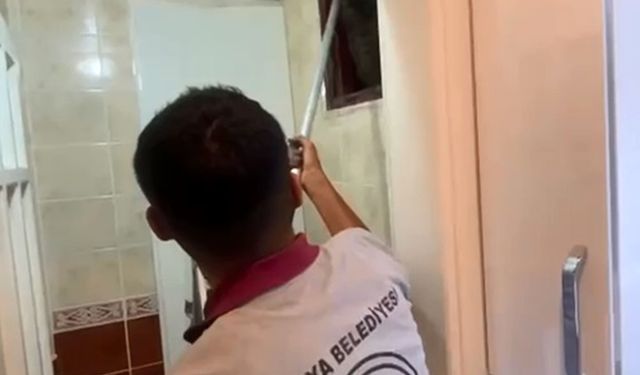 Apartmanın havalandırma bacasına düşen kedi kurtarıldı