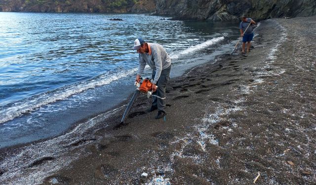 Antalya Kemer'de kıyı temizliği