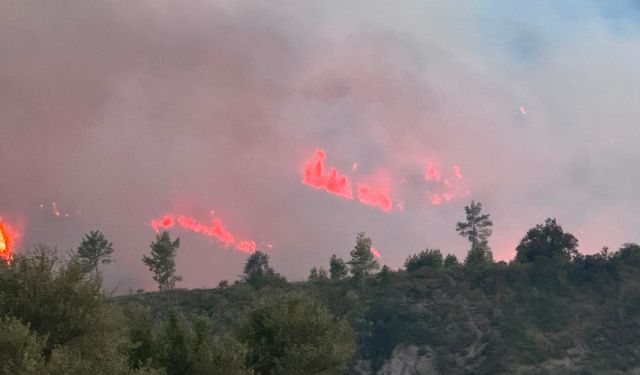 Antalya Serik'te orman yangınına müdahale sürüyor