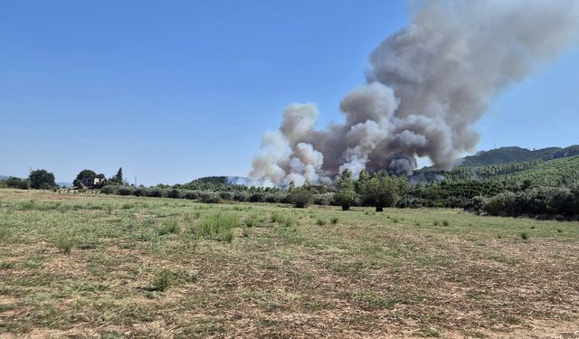 Antalya'da orman dışı alanda yangın
