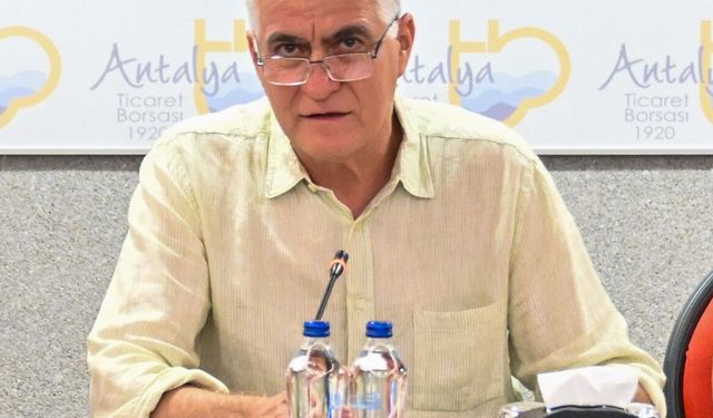 Zeytinde rekolte beklentisi yüzde 40 arttı