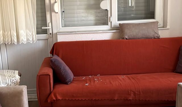 Dairenin penceresine domuz kurşunu isabet etti