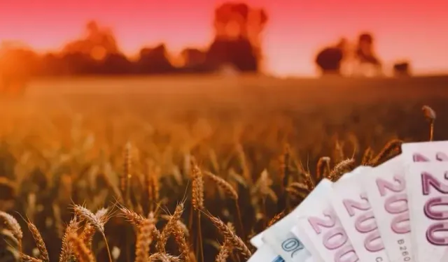 TMO'dan üreticiye 4,5 milyar TL'lik ödeme