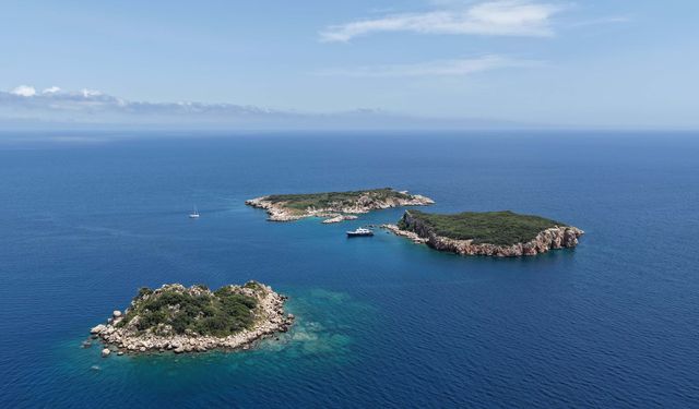 Üç Adalar'da deniz yaşamını koruma çalışmaları başladı
