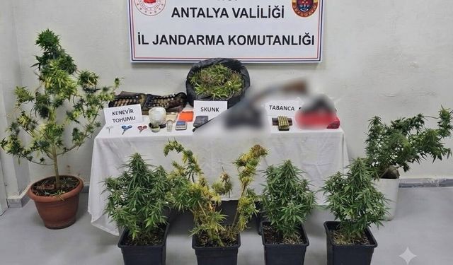 Serik ve Alanya’da operasyonu: 22 Şüpheli gözaltında