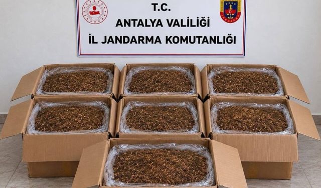 Alanya ve Döşemealtı’nda kaçak tütün operasyonu: Yüzlerce ürün ele geçirildi