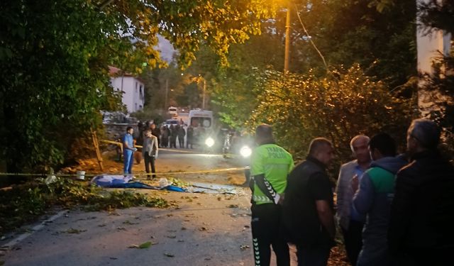 Ceviz ağacından düşüp öldü