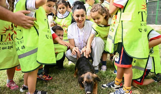 Muratpaşa'da 2026'da 287 can yeni yuvasına kavuştu