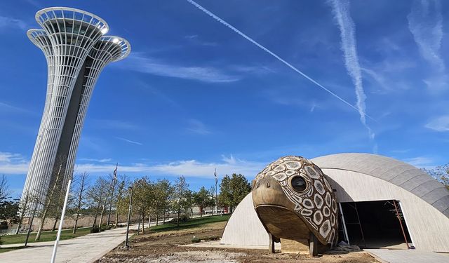 COP31'in maskotu 'caretta caretta' için pavilyon tasarlandı