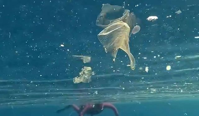 Yağışlar sonrası denizdeki plastik kirliliği kamerada