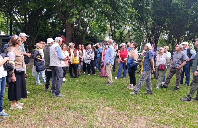 Antalya'da göçmen ağaçları