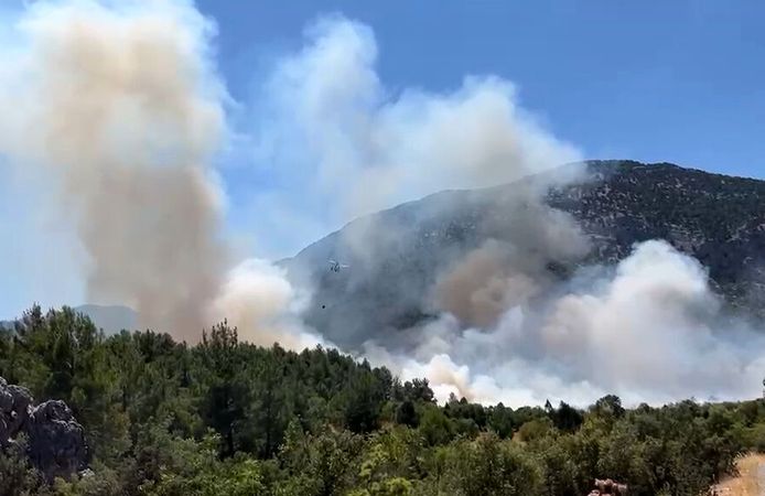 Antalya Akseki'de orman yangını çıktı