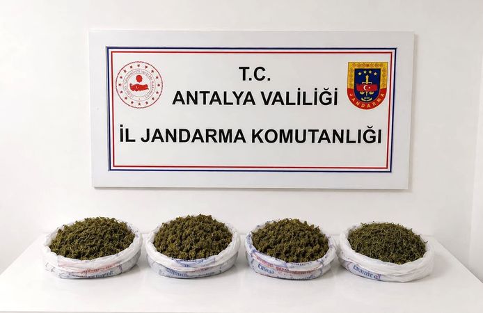 Alanya'da uyuşturucu operasyonu
