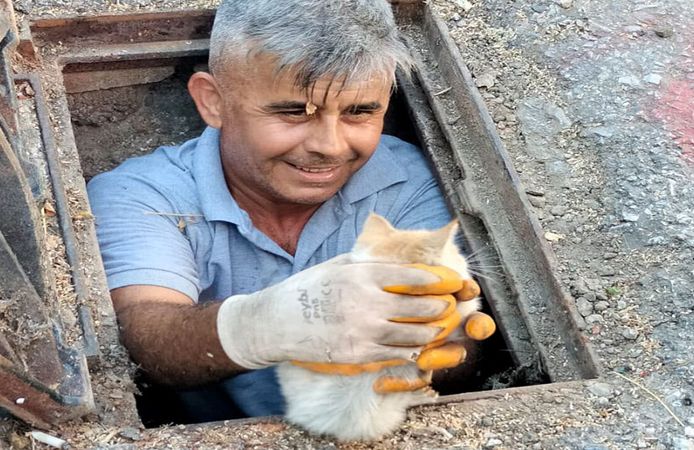 Alanya'da kanalizasyona düşen kedi kurtarıldı