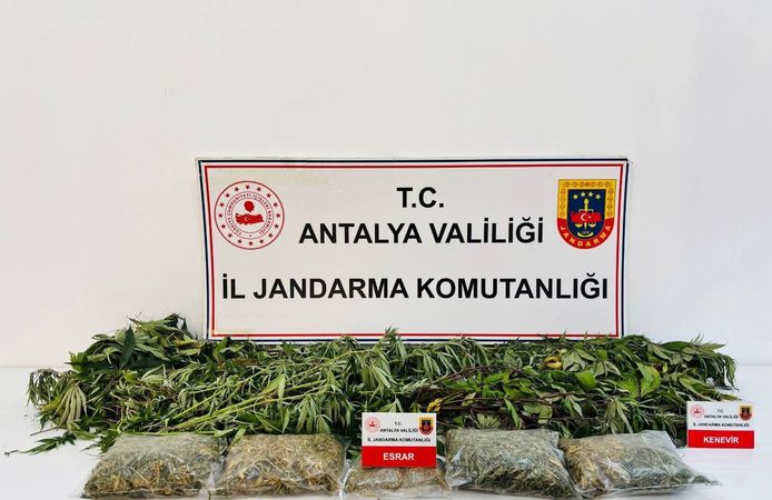Alanya’da operasyon: Evden kenevir ve esrar çıktı