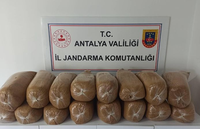 Kaçak tütün operasyonu: Alanya ve Kaş'ta 350 paket sigara ele geçirildi