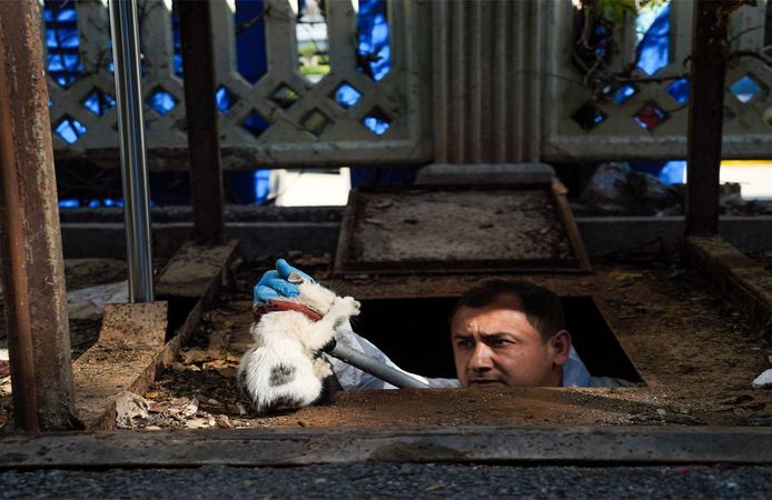 Yer altı çöp konteynerinin altına düşen yavru kediyi ekipler kurtardı