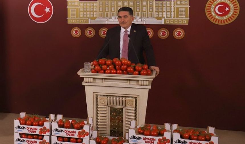 Ağrı'da 1925 rakımlı domates üretimi Antalya'ya rakip!