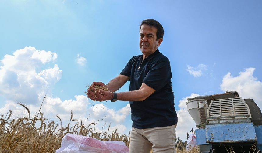 Tarım-GFE Mart’ta yükseldi: Üretici avantajlı konuma geçti