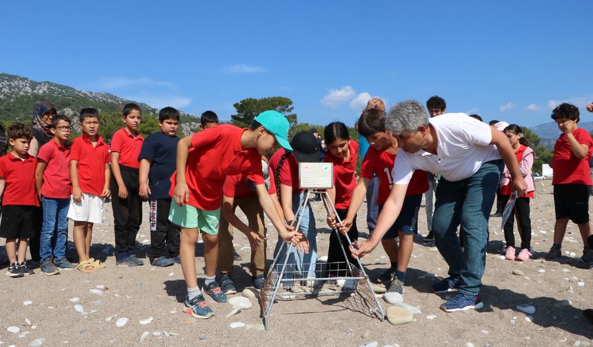 Antalya'da yasaklar başladı: Deniz kaplumbağası yuvası tespit edildi