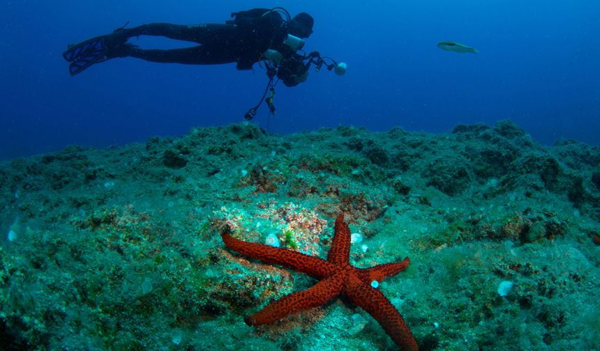 24'üncü Uluslararası Kemer Sualtı Günleri başlıyor