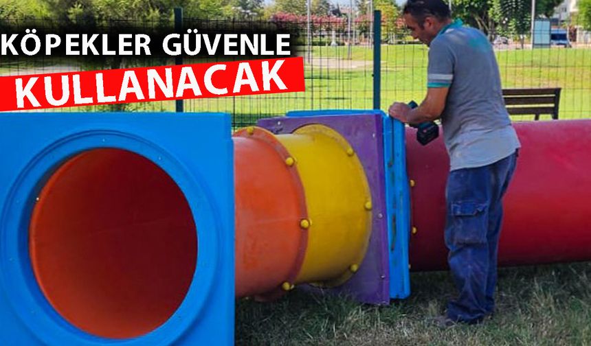 Köpek Eğitim Parkı'na yeni parkurlar