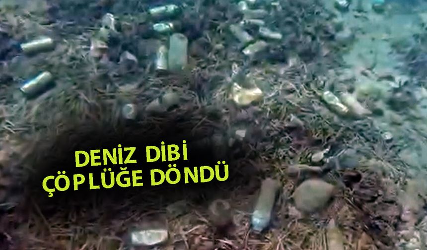 Alanya’da kirlilik canlıları ve turizmi tehdit ediyor