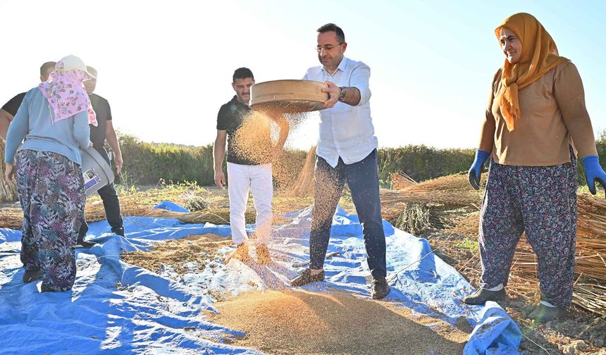 'Manavgat susamı yurt dışında da büyük ilgi görüyor'